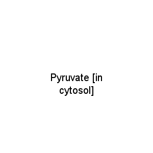 Pyruvate [in cytosol]